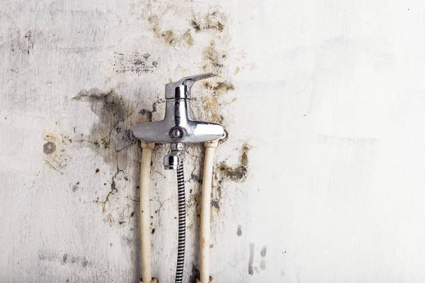 Beaver Dam, WI Mold Removal Company